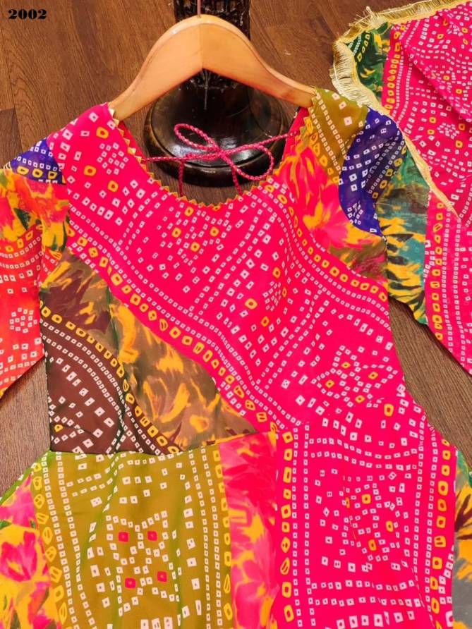 Gangour Nx Multipul Colourful Dupatta With Maxy Gown Catalog